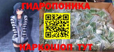 PSILOCYBIN Заволжье