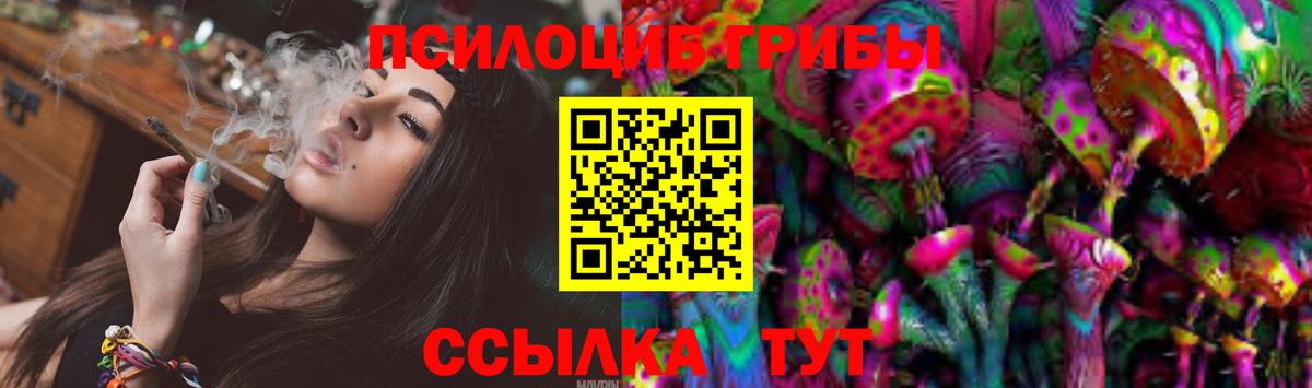 Псилоцибиновые грибы Cubensis Лысьва